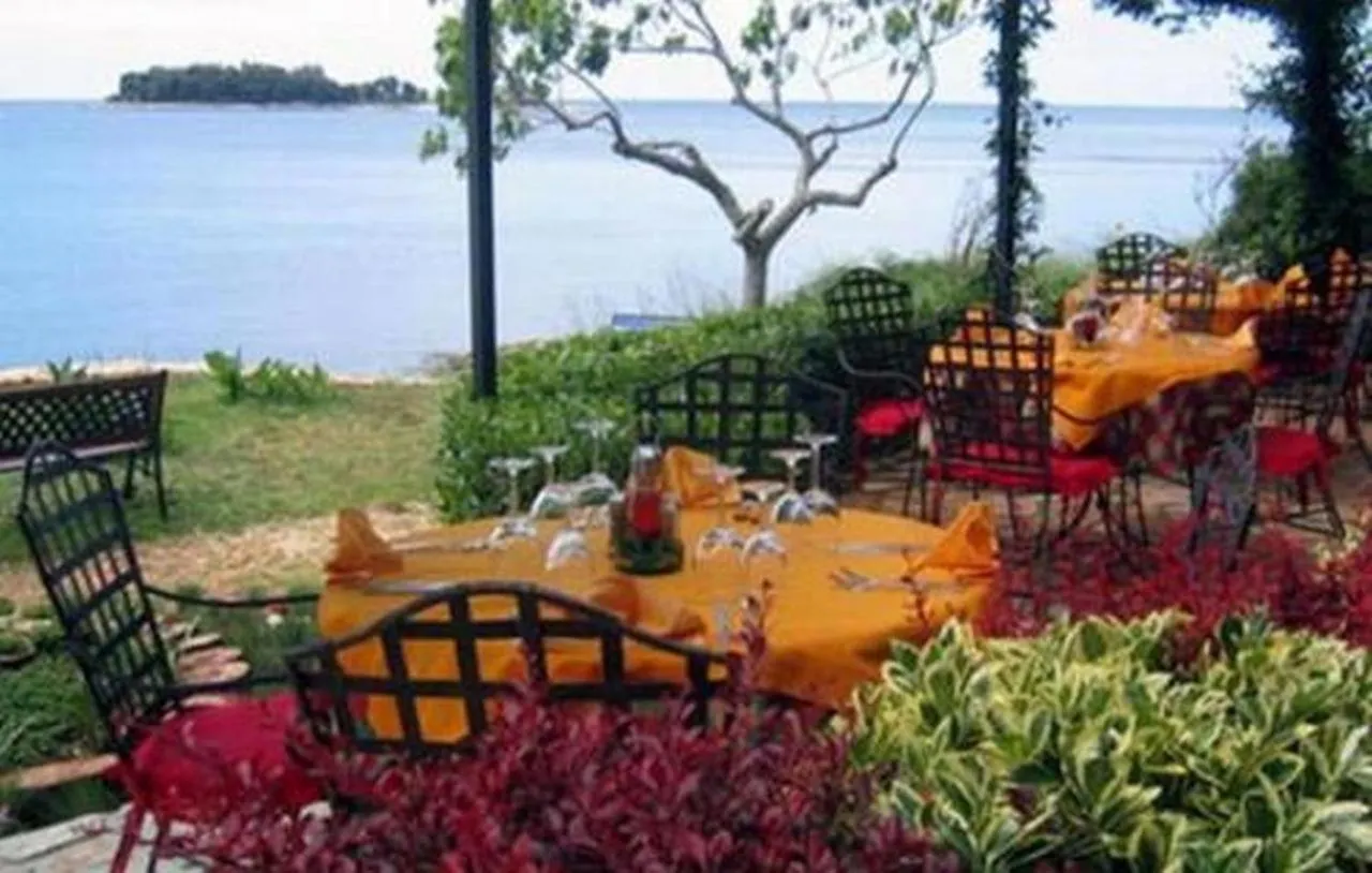 Apartment In Banjole With Terrace, Air Conditioning, Wifi, Washing Machine 3360-3